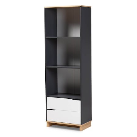 Baxton Studio Reed Mid-Century Multicolor 2-Drawer Wood Living Room Bookshelf 159-9859